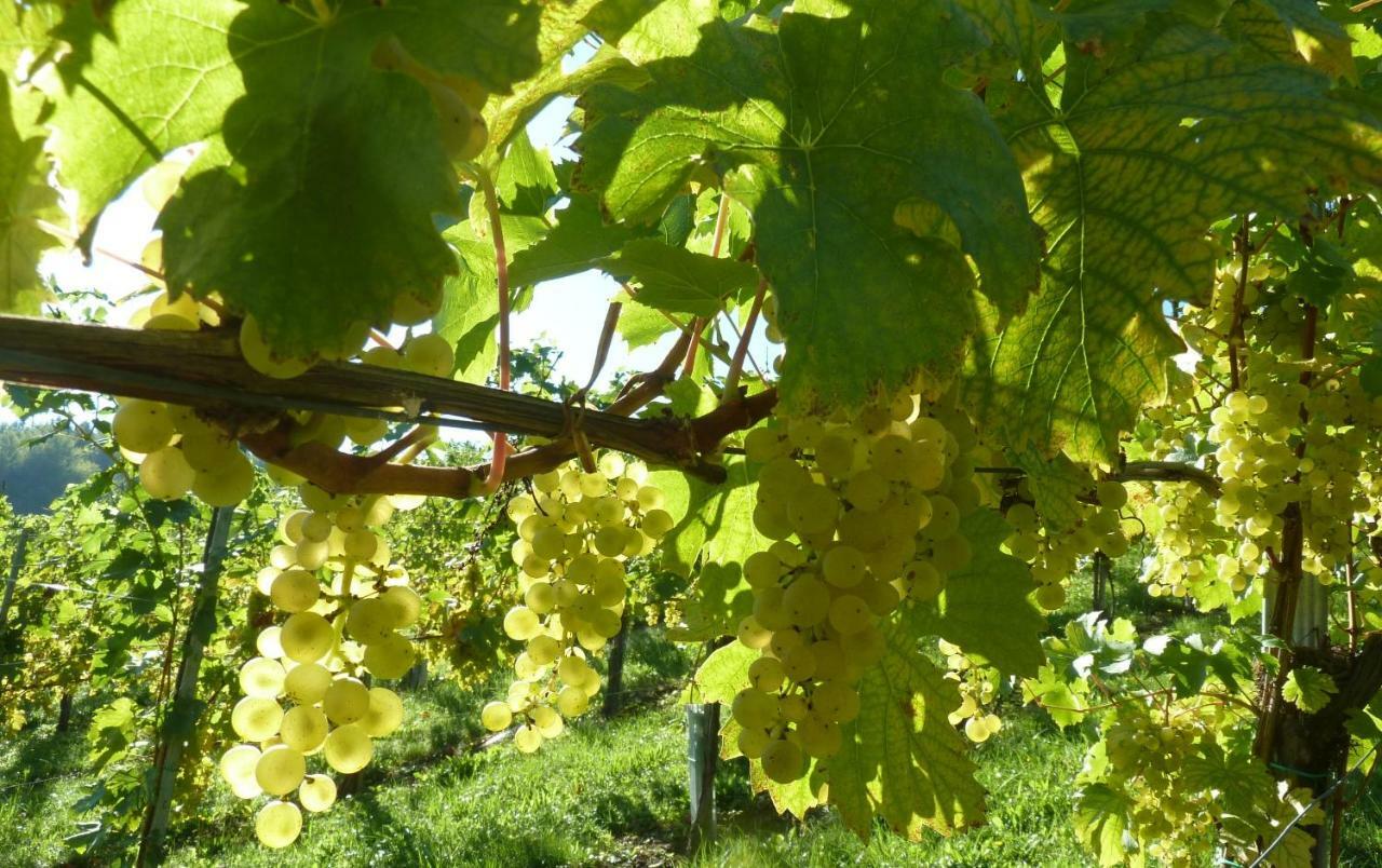 Weingut- Gaestezimmer Marko Leutschach Eksteriør bilde
