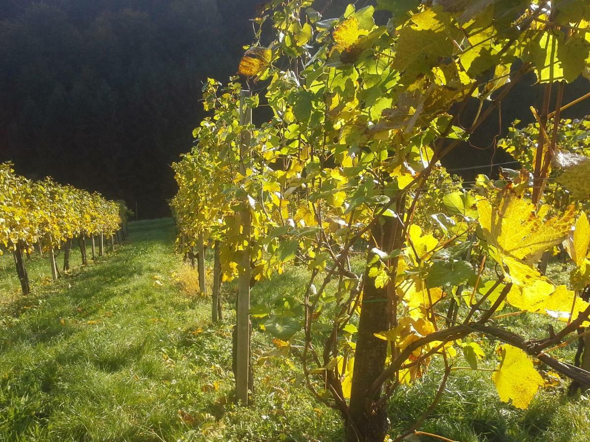 Weingut- Gaestezimmer Marko Leutschach Eksteriør bilde